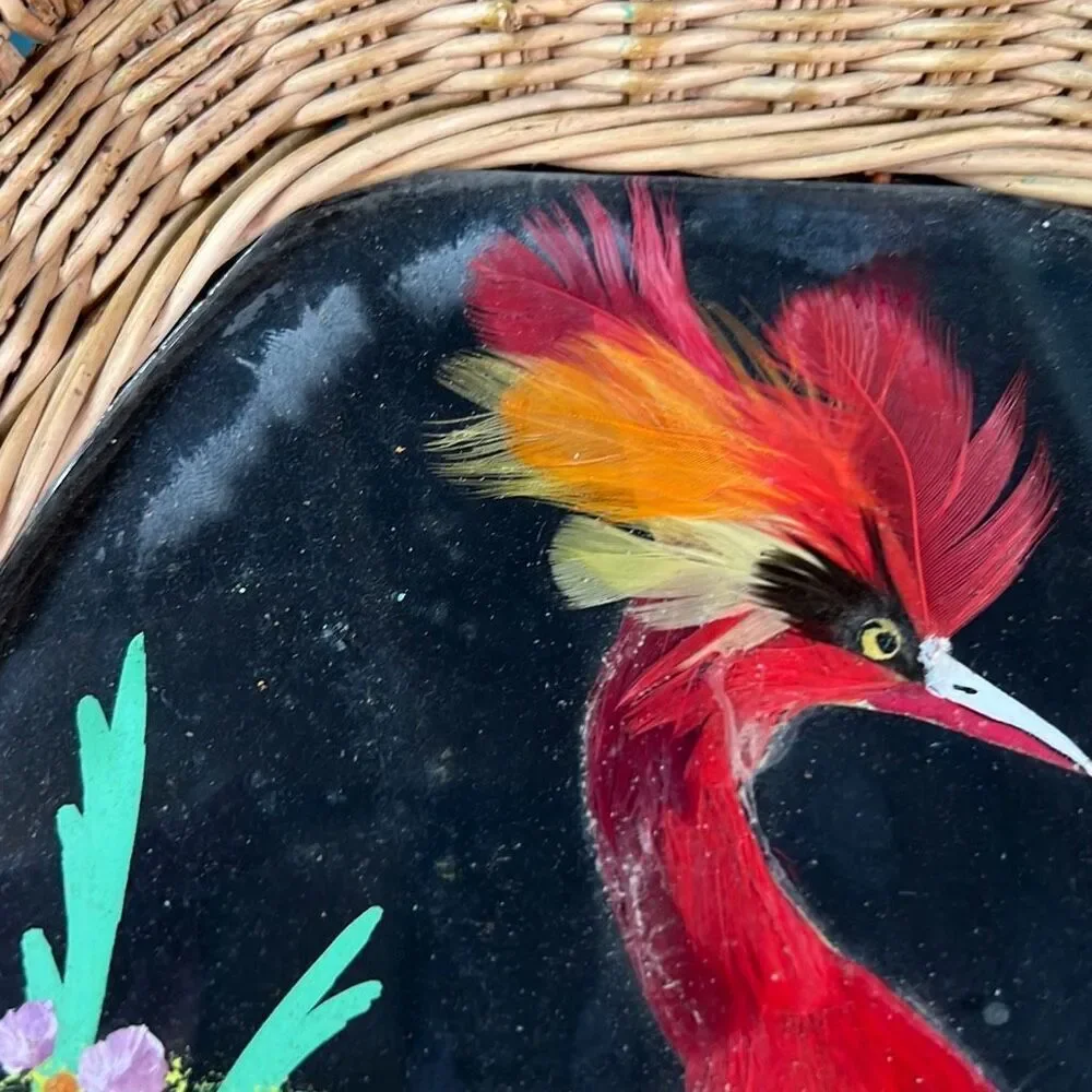 Vintage Mexico Bird Feather Folk Art Painted Wicker Basket Wall Decor 12